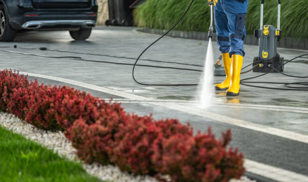 Boat and Dock Cleaning in Savannah, TN